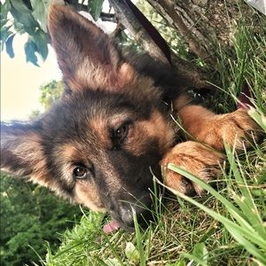 Meet your Posher, Austin